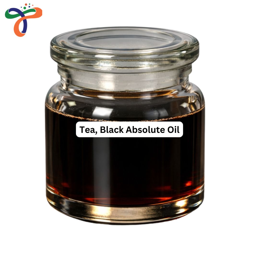 Tea, Black Absolute Oil